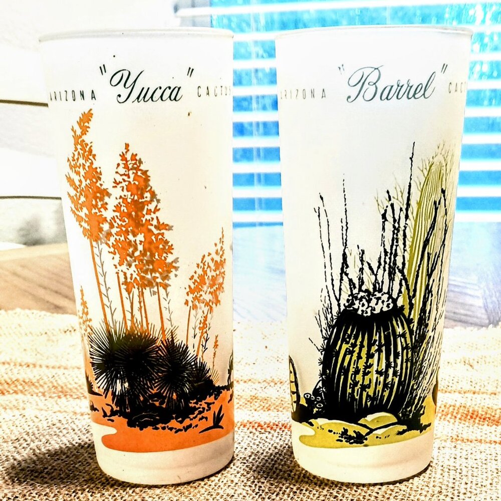 Blakely Mid Century Arizona Frosted  Highball Glasses